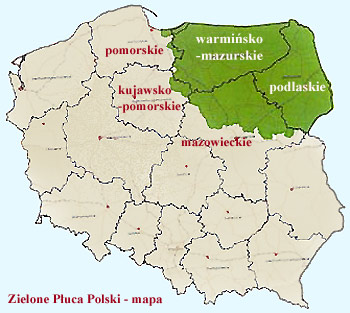 Zielone Puca Polski