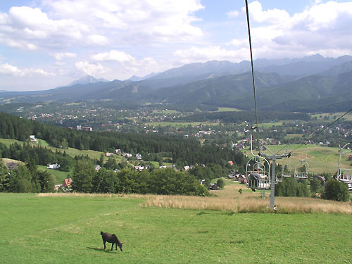 Widok z wycigu krzesekowego na Gubawk - w dole Zakopane